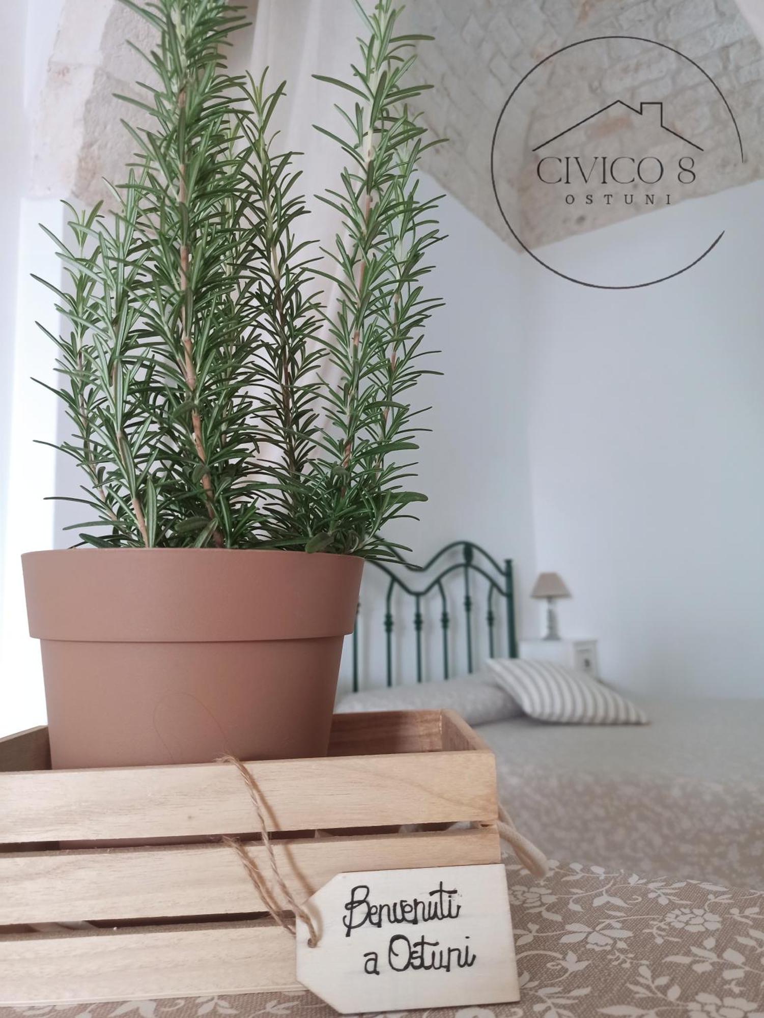 奥斯图尼Civico 8别墅 外观 照片